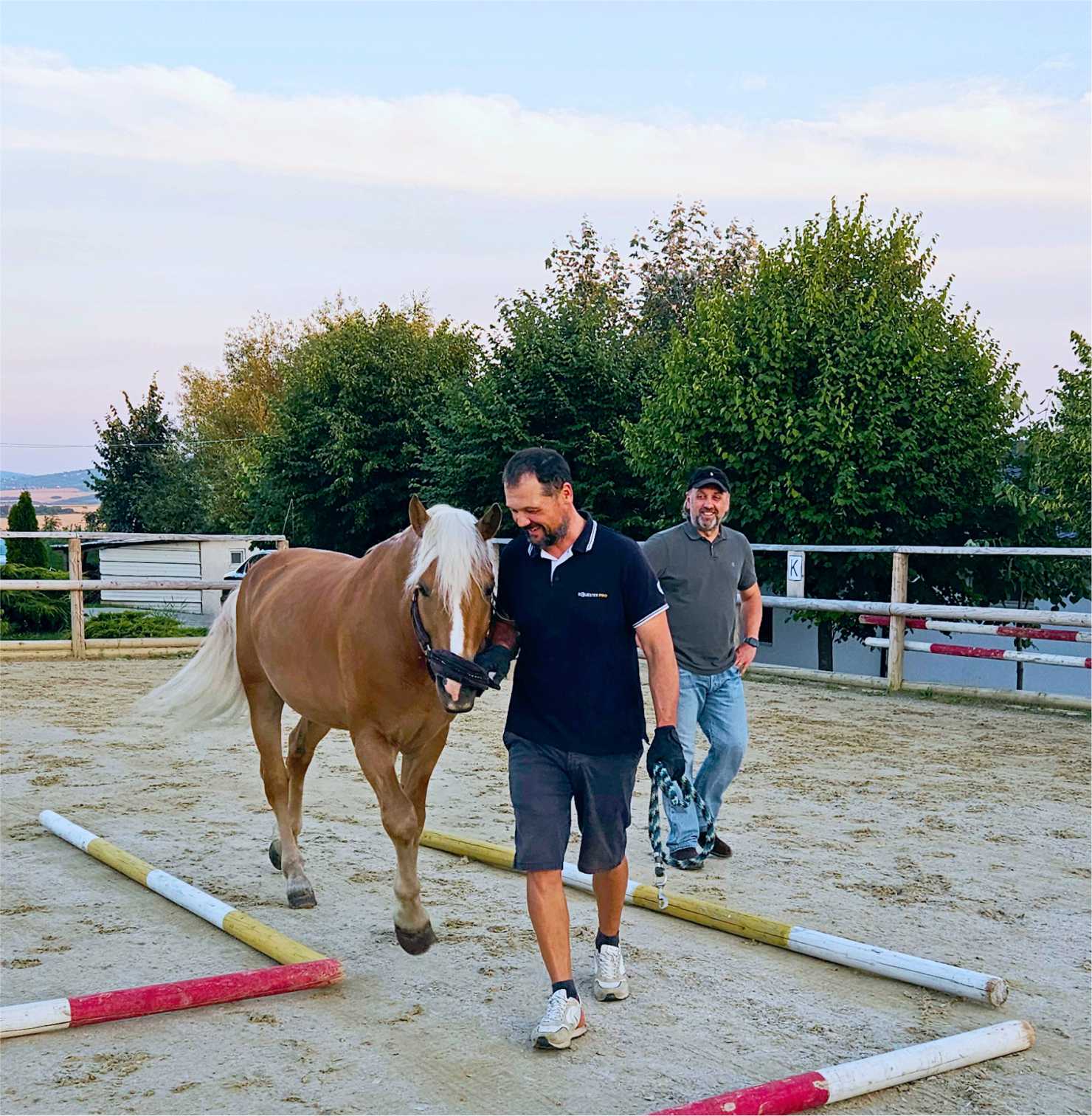 Stride - Workshop alaturi de cai - Inteligenta emotionala