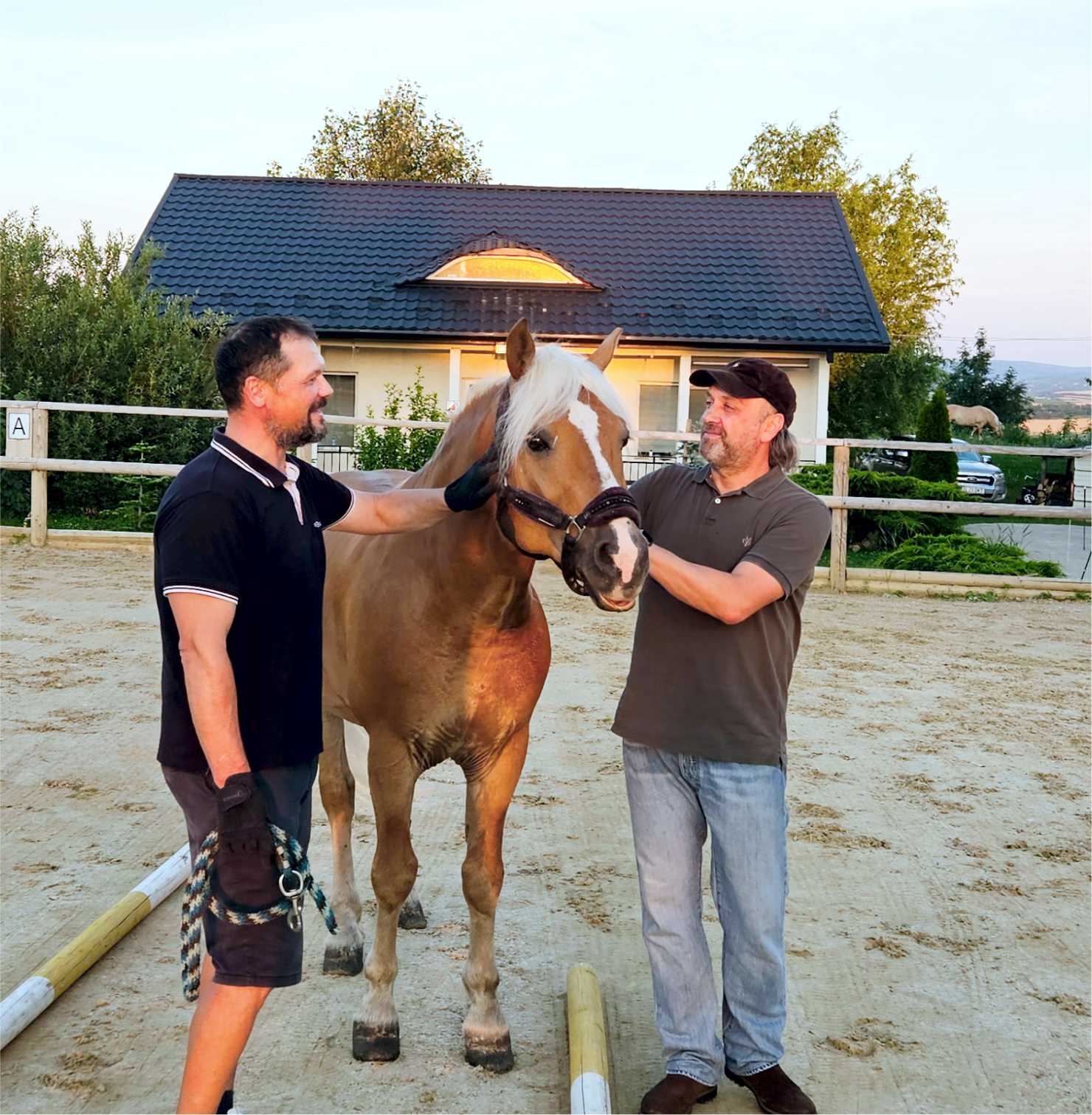 Stride - Workshop alaturi de cai - Leadership