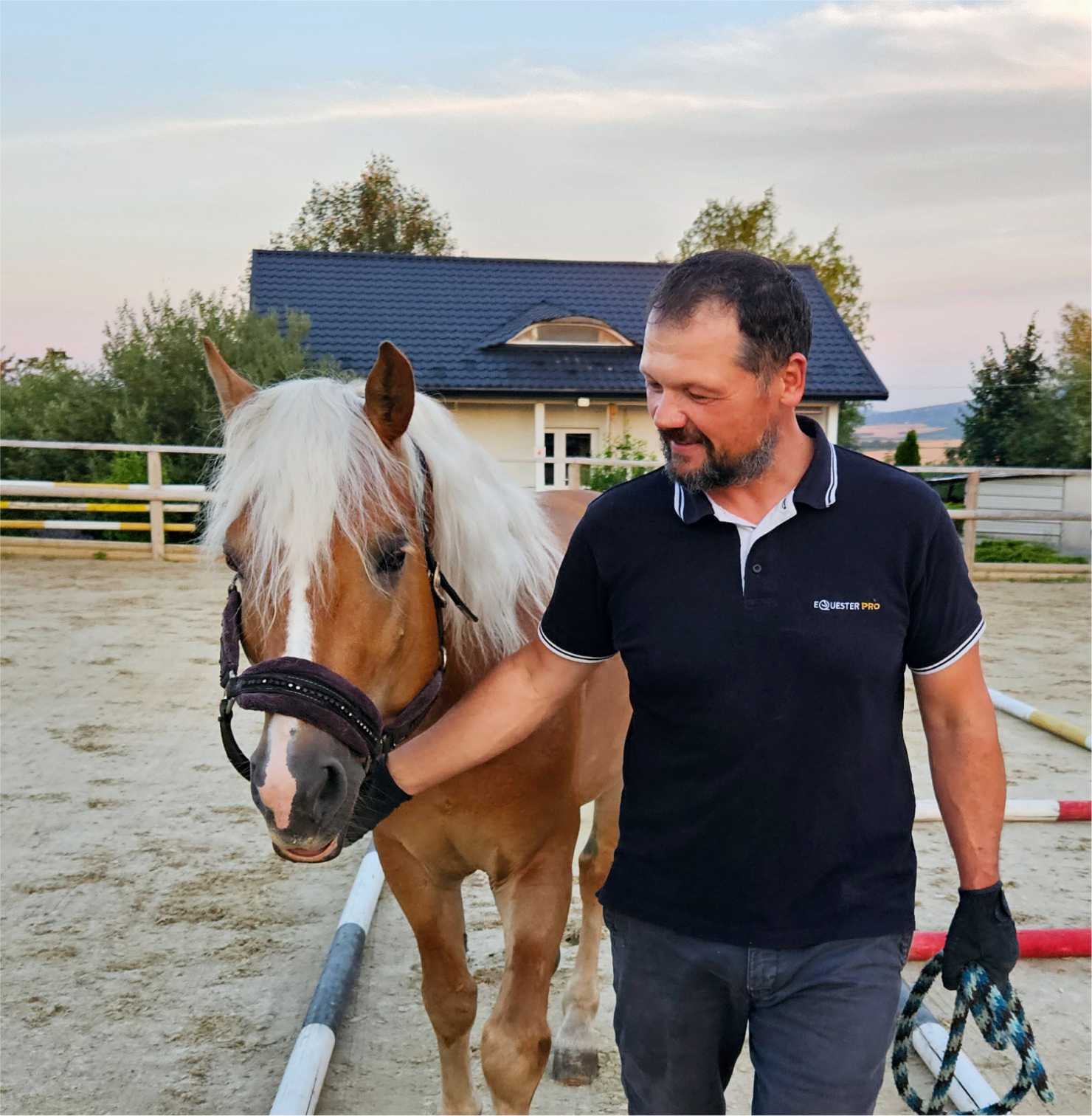 Stride - Workshop alaturi de cai - dezvoltare echipe