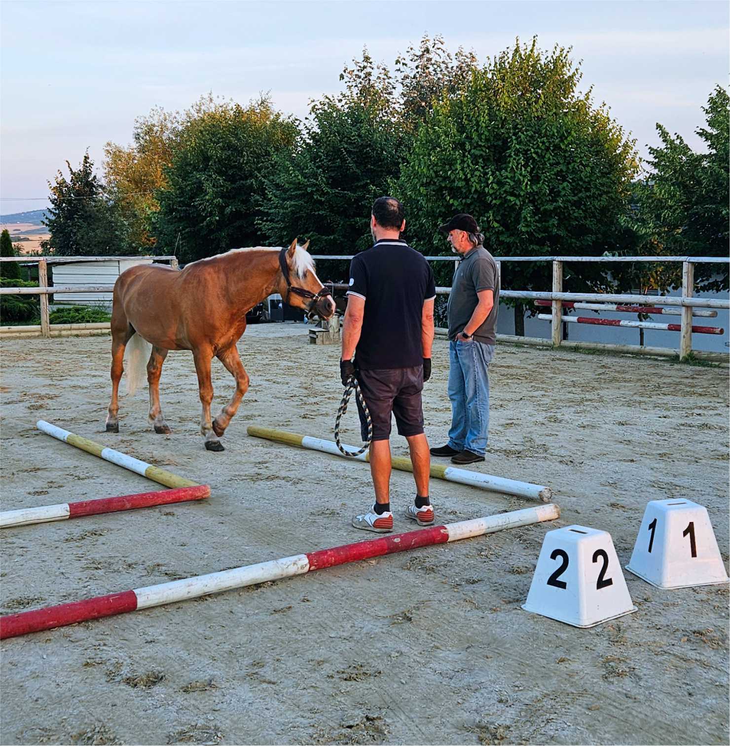 Stride - Workshop alaturi de cai - feedback